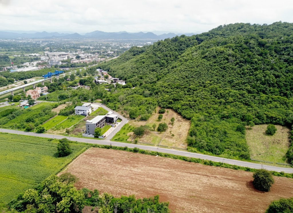 ตัวอย่างภาพถ่ายที่ดิน 6