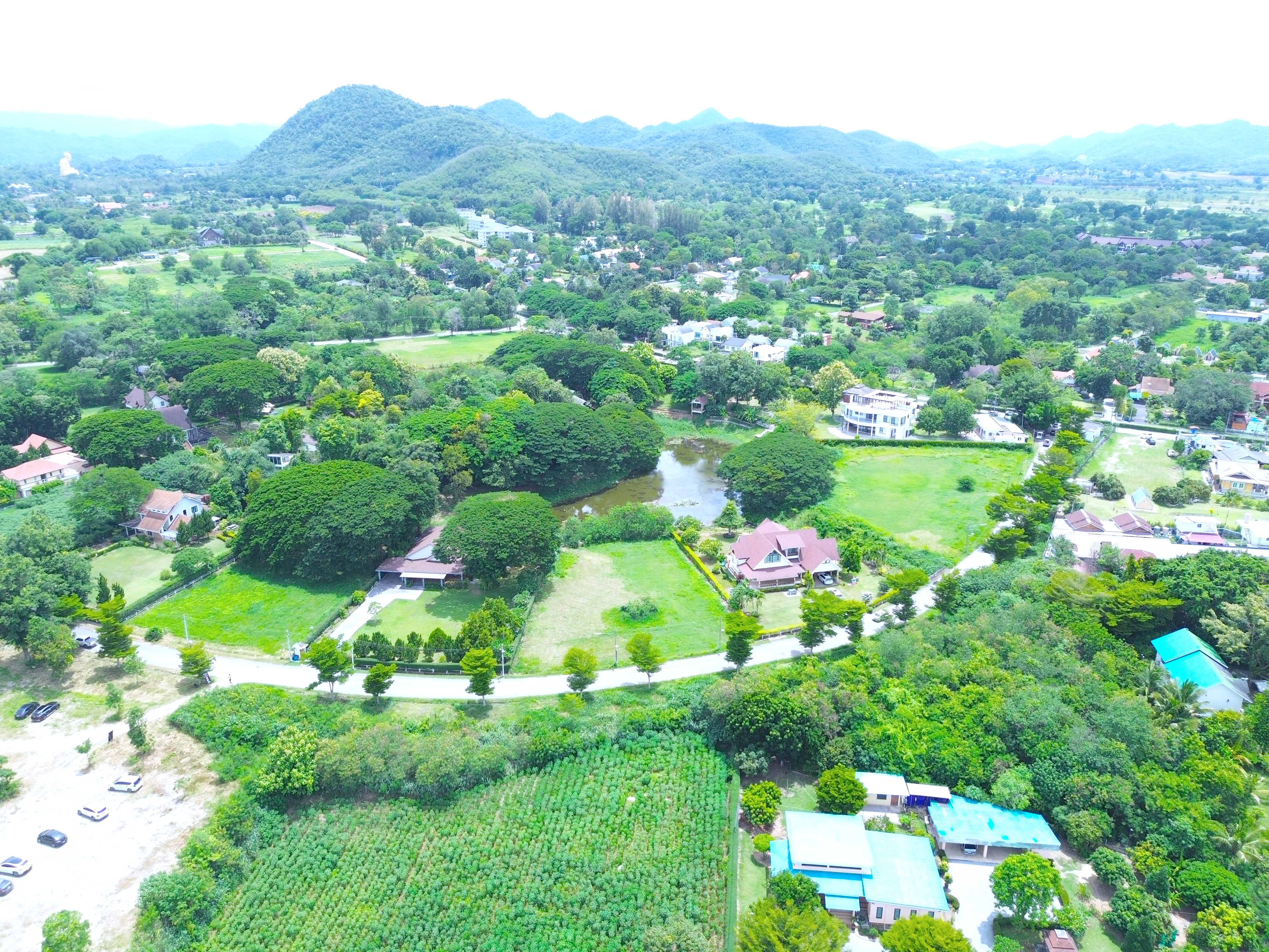 ที่ดินวิวเขา 1